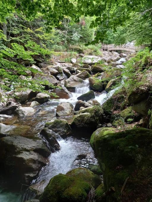 Gite L'Enclos O Rendez-Vous Roquefeuil-Pays De Sault- Avec Jardin Exterior photo